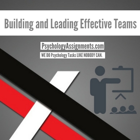 Building and Leading Effective Teams Assignment Help